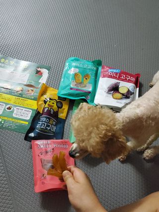 모모맘님이 올린 리뷰 사진 2