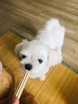 이아님이 올린 리뷰 사진 1