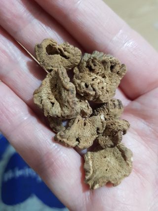 빛날Hwan님이 올린 리뷰 사진 3