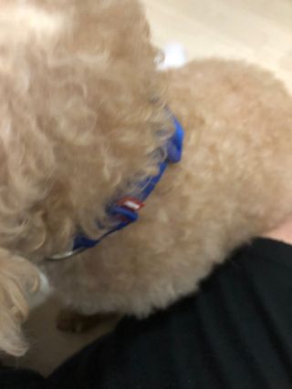 지구별철학자님이 올린 리뷰 사진 3