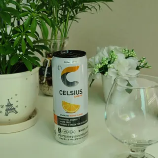 셀시어스 오리지널 325ml 에너지 비타민 피트니스 드링크(24can) 다이어트 음료 — 5점을 준 리뷰어가 2022년 5월 올린 사용 사진