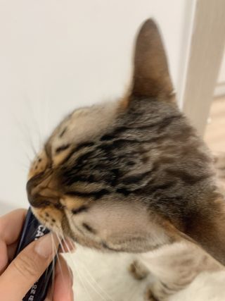 어린이님이 올린 리뷰 사진 4