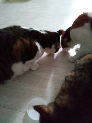까꿍님이 올린 리뷰 사진 3