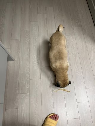 은때님이 올린 리뷰 사진 3