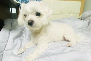 느제님이 올린 리뷰 사진 2