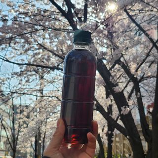 무라벨 바리스타룰스 디카페인 아메리카노 — 5점을 준 리뷰어가 2024년 4월 올린 사용 사진