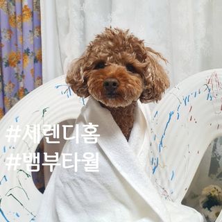사랑해안시영님이 올린 리뷰 사진 1