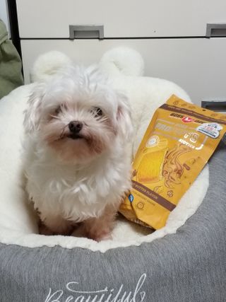 무무님이 올린 리뷰 사진 1