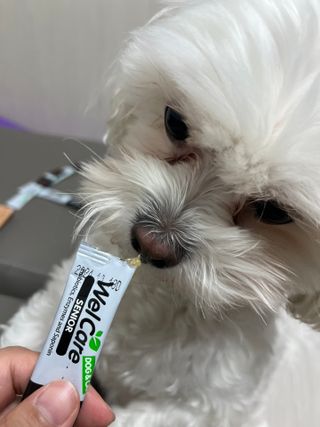 정꾸꾸님이 올린 리뷰 사진 2
