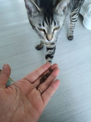 yumegom님이 올린 리뷰 사진 4