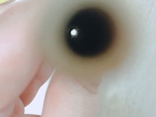 모닝스타님이 올린 리뷰 사진 4
