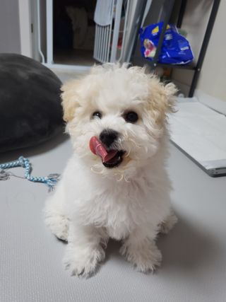 윤토마토님이 올린 리뷰 사진 4