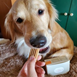 댠님이 올린 리뷰 사진 3