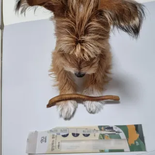 커피보고왔엄님이 올린 리뷰 사진 4