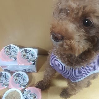 제이드님이 올린 리뷰 사진 1