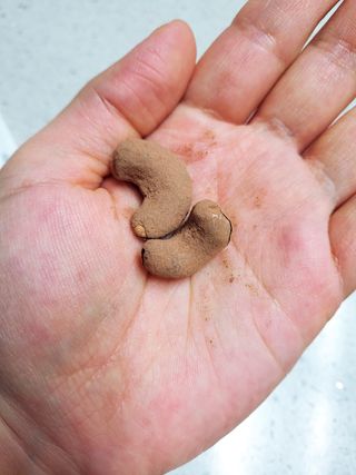 뿅뿅가을님이 올린 리뷰 사진 3