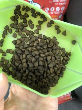 [푸디웜] 라포그  리얼인섹트 관절 저알러지 강아지 사료  1.2KG — 5점을 준 리뷰어가 2022년 8월 올린 사용 사진