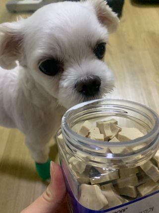 bibi1517님이 올린 리뷰 사진 3