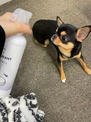 정열매님이 올린 리뷰 사진 3