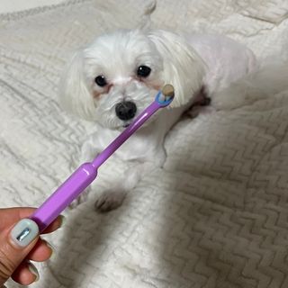 달콩리치님이 올린 리뷰 사진 1