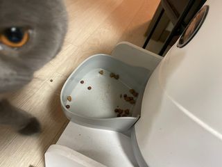 sehee님이 올린 리뷰 사진 4