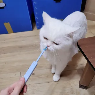 오빈님이 올린 리뷰 사진 1