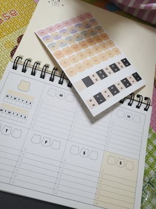 리훈 곰부 세우는 체크리스트 위클리 탁상 플래너 주간 일주일 계획표 — 5점을 준 리뷰어가 2023년 2월 올린 사용 사진