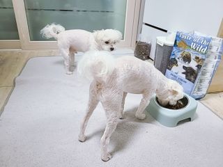 자기전님이 올린 리뷰 사진 3