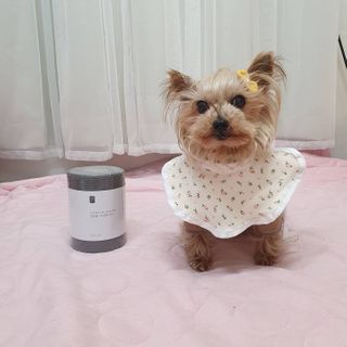 솜희님이 올린 리뷰 사진 3