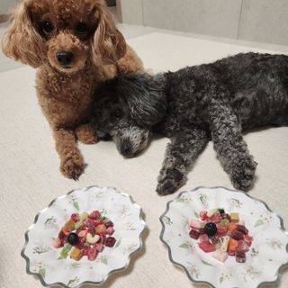 산이네ෆ˙ ᵕ ˙ෆ님이 올린 리뷰 사진 2