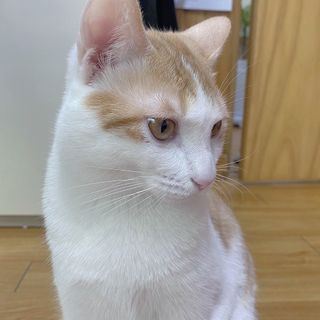 양블리님이 올린 리뷰 사진 3