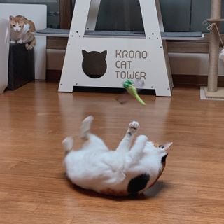 두냥이님이 올린 리뷰 사진 3