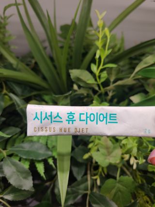 bellakim님이 올린 리뷰 사진 3