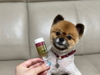 무지조타 반려동물용 꽃으로만든영양제 헬리코디펜스 15ml — 5점을 준 리뷰어가 2021년 8월 올린 사용 사진