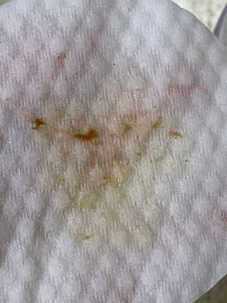 진시님이 올린 리뷰 사진 4