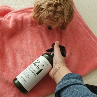 아코맘님이 올린 리뷰 사진 1