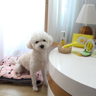 알럽은서님이 올린 리뷰 사진 1