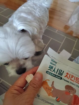[펫시밀] 원물그대로 영양듬뿍 진공동결건조 북어트릿75g,치킨트릿100g,연어트릿75g 강아지 고양이 간식 — 5점을 준 리뷰어가 2023년 5월 올린 사용 사진
