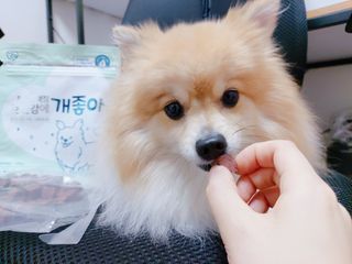 설탕님이 올린 리뷰 사진 3