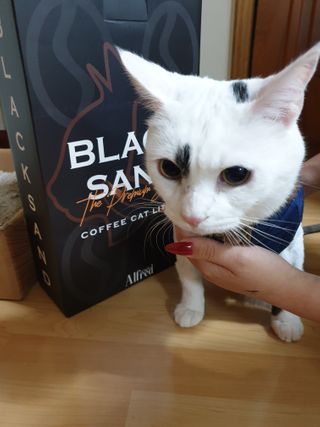 귀욤뽀짝센스쟁이님이 올린 리뷰 사진 1