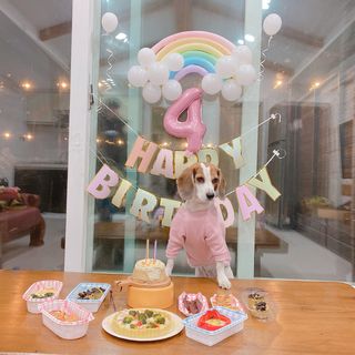 콩비지맘님이 올린 리뷰 사진 3