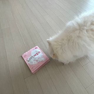 My Pet Care 천연단백질 관절건강에 개좋아 — 5점을 준 리뷰어가 2021년 2월 올린 사용 사진