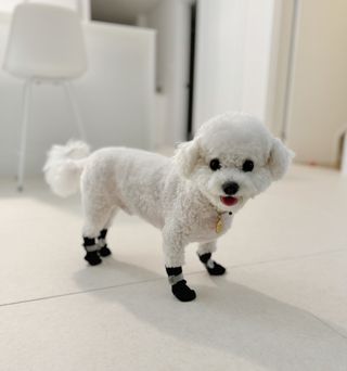 Florence님이 올린 리뷰 사진 2