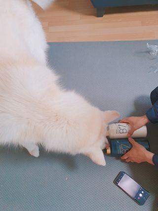 [포레스트스토리] B7 안티 헤어로스 샴푸1,000ml + 헤어팩 1,000ml — 5점을 준 리뷰어가 2021년 3월 올린 사용 사진