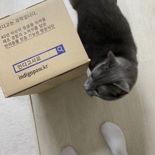 묘브님이 올린 리뷰 사진 3