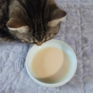 나초단맘님이 올린 리뷰 사진 4