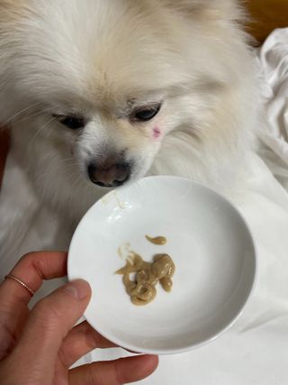 이예령님이 올린 리뷰 사진 3