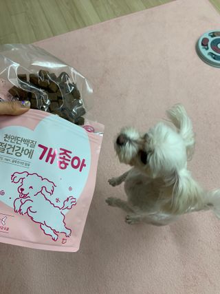 My Pet Care 천연단백질 관절건강에 개좋아 — 5점을 준 리뷰어가 2021년 3월 올린 사용 사진