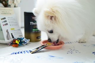 JAY님이 올린 리뷰 사진 4