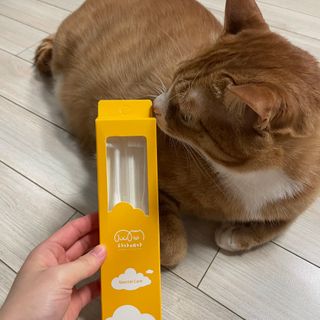 채한별님이 올린 리뷰 사진 2